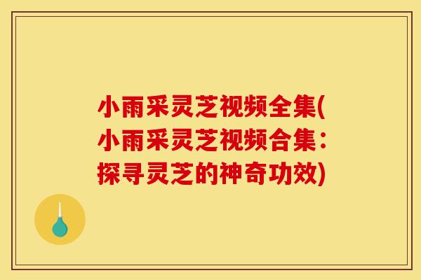小雨采灵芝视频全集(小雨采灵芝视频合集:探寻灵芝的神奇功效)-第1张图片-灵芝之家 小雨采灵芝视频全集(小雨采灵芝视频合集:探寻灵芝的神奇功效)-第1张图片-灵芝之家