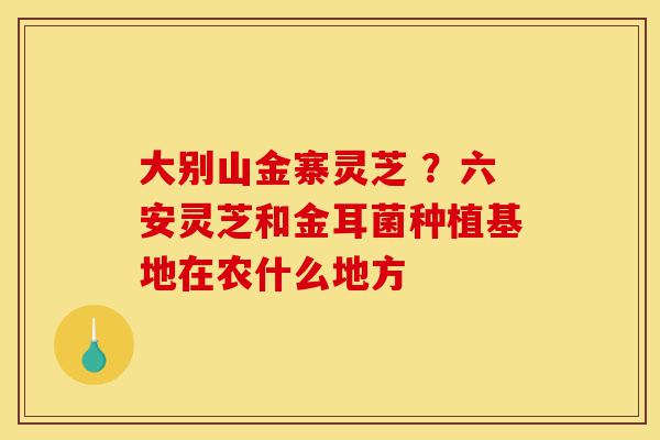 大别山金寨灵芝 ?六安灵芝和金耳菌种植基地在农什么地方-第1张图片-灵芝之家 大别山金寨灵芝 ?六安灵芝和金耳菌种植基地在农什么地方-第1张图片-灵芝之家