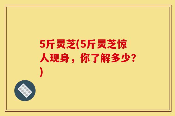 5斤灵芝(5斤灵芝惊人现身，你了解多少？)-第1张图片-灵芝之家