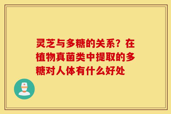灵芝与多糖的关系?在植物真菌类中提取的多糖对人体有什么好处-第1张图片-灵芝之家 灵芝与多糖的关系?在植物真菌类中提取的多糖对人体有什么好处-第1张图片-灵芝之家