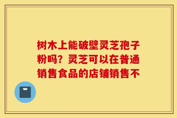 树木上能破壁灵芝孢子粉吗?灵芝可以在普通销售食品的店铺销售不-第1张图片-灵芝之家 树木上能破壁灵芝孢子粉吗?灵芝可以在普通销售食品的店铺销售不-第1张图片-灵芝之家