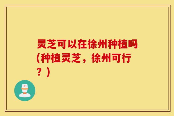 灵芝可以在徐州种植吗(种植灵芝,徐州可行?)-第1张图片-灵芝之家 灵芝可以在徐州种植吗(种植灵芝,徐州可行?)-第1张图片-灵芝之家