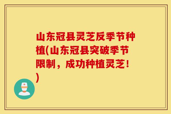 山东冠县灵芝反季节种植(山东冠县突破季节限制,成功种植灵芝!)-第1张图片-灵芝之家 山东冠县灵芝反季节种植(山东冠县突破季节限制,成功种植灵芝!)-第1张图片-灵芝之家