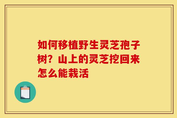 如何移植野生灵芝孢子树?山上的灵芝挖回来怎么能栽活-第1张图片-灵芝之家 如何移植野生灵芝孢子树?山上的灵芝挖回来怎么能栽活-第1张图片-灵芝之家