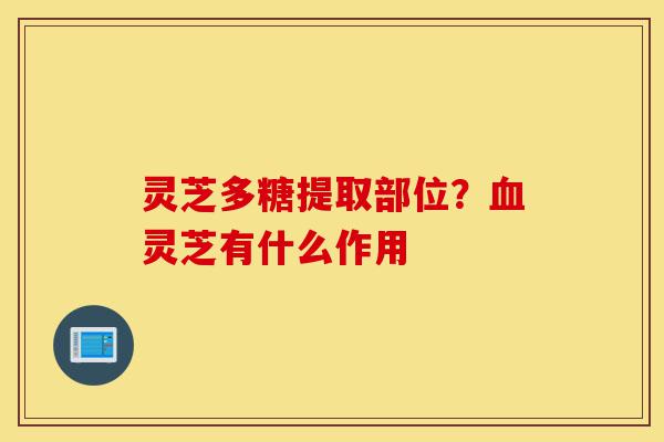 灵芝多糖提取部位?血灵芝有什么作用-第1张图片-灵芝之家 灵芝多糖提取部位?血灵芝有什么作用-第1张图片-灵芝之家
