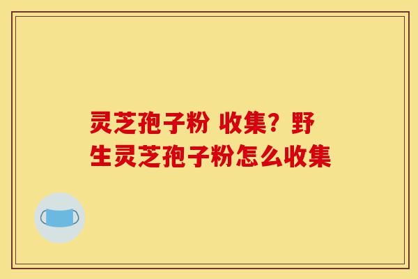 灵芝孢子粉 收集?野生灵芝孢子粉怎么收集-第1张图片-灵芝之家 灵芝孢子粉 收集?野生灵芝孢子粉怎么收集-第1张图片-灵芝之家