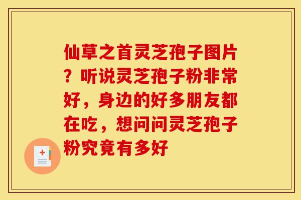仙草之首灵芝孢子图片？听说灵芝孢子粉非常好，身边的好多朋友都在吃，想问问灵芝孢子粉究竟有多好-第1张图片-灵芝之家