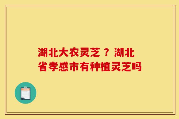湖北大农灵芝 ?湖北省孝感市有种植灵芝吗-第1张图片-灵芝之家 湖北大农灵芝 ?湖北省孝感市有种植灵芝吗-第1张图片-灵芝之家