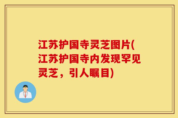 江苏护国寺灵芝图片(江苏护国寺内发现罕见灵芝,引人瞩目)-第1张图片-灵芝之家 江苏护国寺灵芝图片(江苏护国寺内发现罕见灵芝,引人瞩目)-第1张图片-灵芝之家