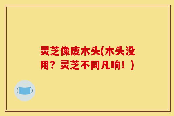 灵芝像废木头(木头没用?灵芝不同凡响!)-第1张图片-灵芝之家 灵芝像废木头(木头没用?灵芝不同凡响!)-第1张图片-灵芝之家