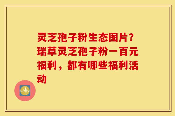 灵芝孢子粉生态图片?瑞草灵芝孢子粉一百元福利,都有哪些福利活动-第1张图片-灵芝之家 灵芝孢子粉生态图片?瑞草灵芝孢子粉一百元福利,都有哪些福利活动-第1张图片-灵芝之家