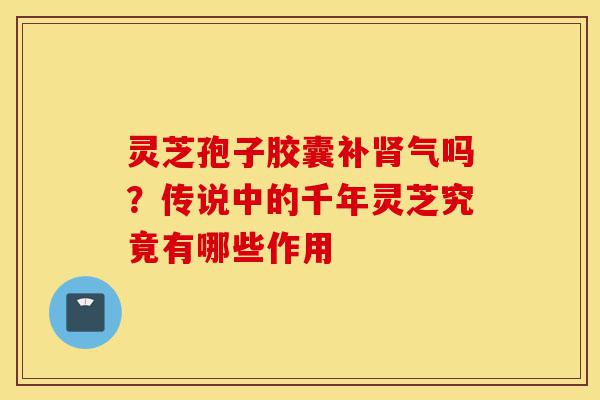 灵芝孢子胶囊补肾气吗?传说中的千年灵芝究竟有哪些作用-第1张图片-灵芝之家 灵芝孢子胶囊补肾气吗?传说中的千年灵芝究竟有哪些作用-第1张图片-灵芝之家