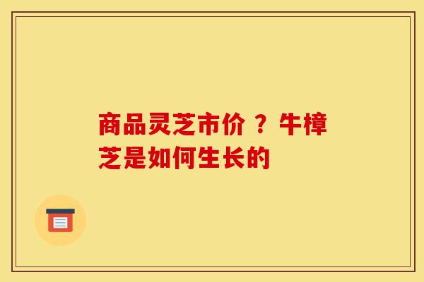 商品灵芝市价 ?牛樟芝是如何生长的-第1张图片-灵芝之家 商品灵芝市价 ?牛樟芝是如何生长的-第1张图片-灵芝之家