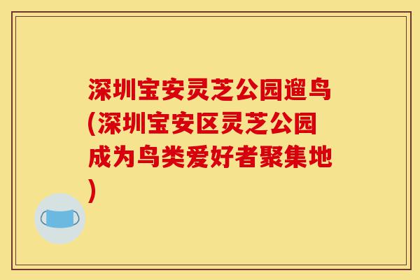 深圳宝安灵芝公园遛鸟(深圳宝安区灵芝公园成为鸟类爱好者聚集地)-第1张图片-灵芝之家 深圳宝安灵芝公园遛鸟(深圳宝安区灵芝公园成为鸟类爱好者聚集地)-第1张图片-灵芝之家