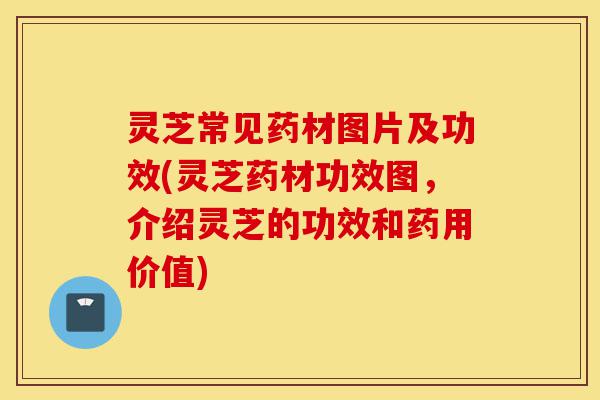 灵芝常见药材图片及功效(灵芝药材功效图,介绍灵芝的功效和药用价值)-第1张图片-灵芝之家 灵芝常见药材图片及功效(灵芝药材功效图,介绍灵芝的功效和药用价值)-第1张图片-灵芝之家