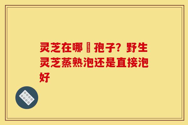 灵芝在哪噴孢子？野生灵芝蒸熟泡还是直接泡好-第1张图片-灵芝之家