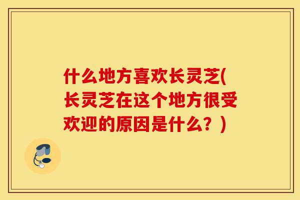 什么地方喜欢长灵芝(长灵芝在这个地方很受欢迎的原因是什么?)-第1张图片-灵芝之家 什么地方喜欢长灵芝(长灵芝在这个地方很受欢迎的原因是什么?)-第1张图片-灵芝之家
