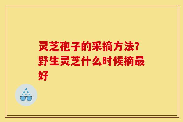 灵芝孢子的采摘方法？野生灵芝什么时候摘最好-第1张图片-灵芝之家