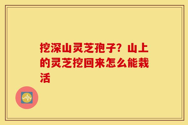 挖深山灵芝孢子？山上的灵芝挖回来怎么能栽活-第1张图片-灵芝之家