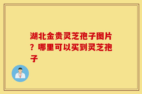 湖北金贵灵芝孢子图片?哪里可以买到灵芝孢子-第1张图片-灵芝之家 湖北金贵灵芝孢子图片?哪里可以买到灵芝孢子-第1张图片-灵芝之家