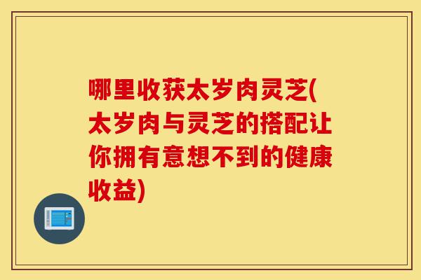 哪里收获太岁肉灵芝(太岁肉与灵芝的搭配让你拥有意想不到的健康收益)-第1张图片-灵芝之家 哪里收获太岁肉灵芝(太岁肉与灵芝的搭配让你拥有意想不到的健康收益)-第1张图片-灵芝之家