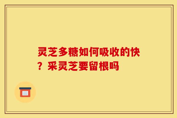 灵芝多糖如何吸收的快？采灵芝要留根吗-第1张图片-灵芝之家