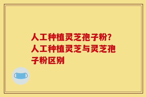 人工种植灵芝孢子粉?人工种植灵芝与灵芝孢子粉区别-第1张图片-灵芝之家 人工种植灵芝孢子粉?人工种植灵芝与灵芝孢子粉区别-第1张图片-灵芝之家