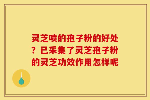 灵芝喷的孢子粉的好处?已采集了灵芝孢子粉的灵芝功效作用怎样呢-第1张图片-灵芝之家 灵芝喷的孢子粉的好处?已采集了灵芝孢子粉的灵芝功效作用怎样呢-第1张图片-灵芝之家
