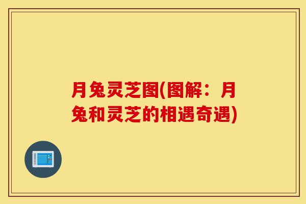 月兔灵芝图(图解：月兔和灵芝的相遇奇遇)-第1张图片-灵芝之家