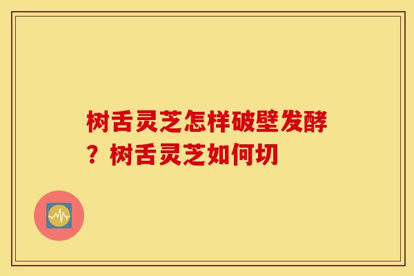 树舌灵芝怎样破壁发酵？树舌灵芝如何切-第1张图片-灵芝之家