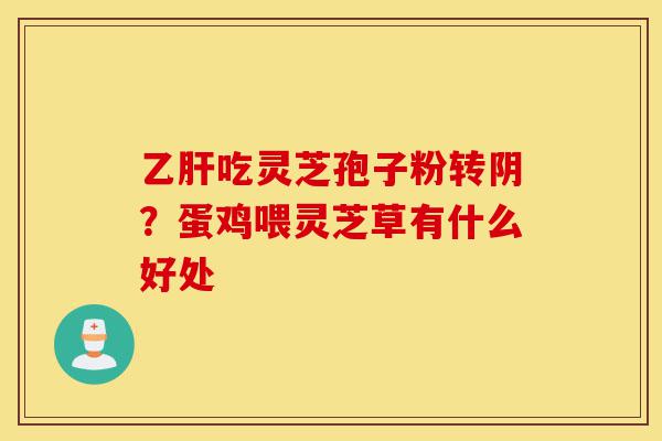 乙肝吃灵芝孢子粉转阴?蛋鸡喂灵芝草有什么好处-第1张图片-灵芝之家 乙肝吃灵芝孢子粉转阴?蛋鸡喂灵芝草有什么好处-第1张图片-灵芝之家