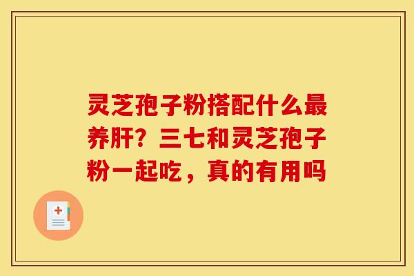 灵芝孢子粉搭配什么最养肝？三七和灵芝孢子粉一起吃，真的有用吗-第1张图片-灵芝之家