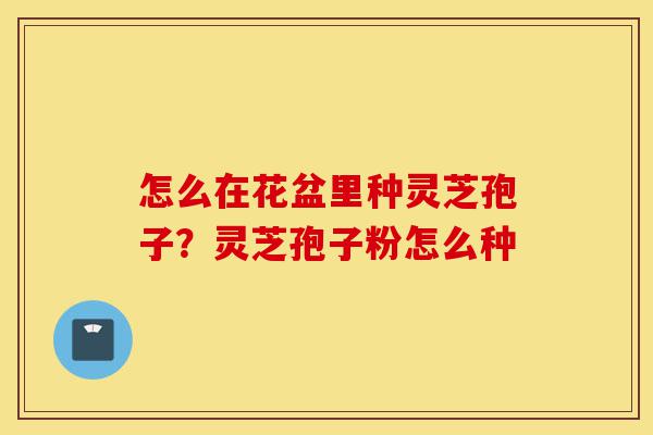 怎么在花盆里种灵芝孢子?灵芝孢子粉怎么种-第1张图片-灵芝之家 怎么在花盆里种灵芝孢子?灵芝孢子粉怎么种-第1张图片-灵芝之家