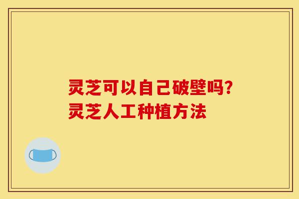 灵芝可以自己破壁吗?灵芝人工种植方法-第1张图片-灵芝之家 灵芝可以自己破壁吗?灵芝人工种植方法-第1张图片-灵芝之家