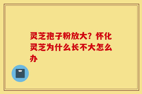灵芝孢子粉放大?怀化灵芝为什么长不大怎么办-第1张图片-灵芝之家 灵芝孢子粉放大?怀化灵芝为什么长不大怎么办-第1张图片-灵芝之家