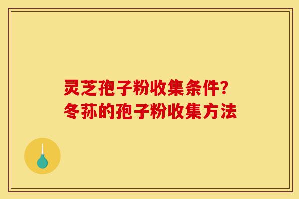 灵芝孢子粉收集条件?冬荪的孢子粉收集方法-第1张图片-灵芝之家 灵芝孢子粉收集条件?冬荪的孢子粉收集方法-第1张图片-灵芝之家