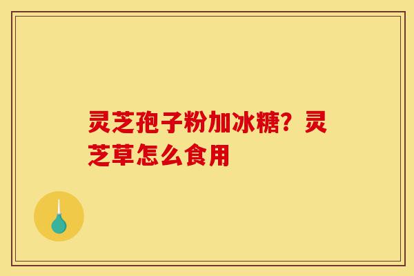 灵芝孢子粉加冰糖？灵芝草怎么食用-第1张图片-灵芝之家