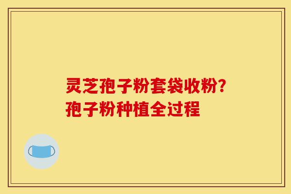灵芝孢子粉套袋收粉?孢子粉种植全过程-第1张图片-灵芝之家 灵芝孢子粉套袋收粉?孢子粉种植全过程-第1张图片-灵芝之家
