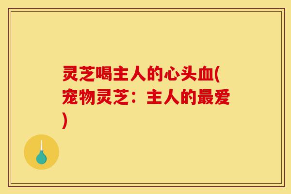 灵芝喝主人的心头血(宠物灵芝:主人的最爱)-第1张图片-灵芝之家 灵芝喝主人的心头血(宠物灵芝:主人的最爱)-第1张图片-灵芝之家