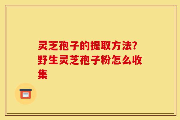 灵芝孢子的提取方法？野生灵芝孢子粉怎么收集-第1张图片-灵芝之家