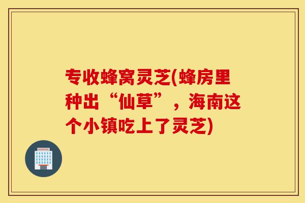 专收蜂窝灵芝(蜂房里种出“仙草”,海南这个小镇吃上了灵芝)-第1张图片-灵芝之家 专收蜂窝灵芝(蜂房里种出“仙草”,海南这个小镇吃上了灵芝)-第1张图片-灵芝之家