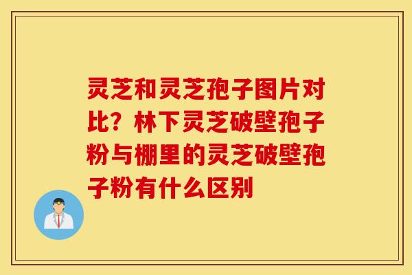 灵芝和灵芝孢子图片对比？林下灵芝破壁孢子粉与棚里的灵芝破壁孢子粉有什么区别-第1张图片-灵芝之家