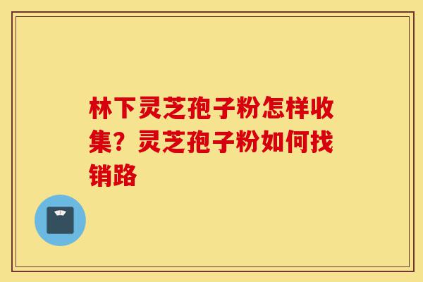 林下灵芝孢子粉怎样收集?灵芝孢子粉如何找销路-第1张图片-灵芝之家 林下灵芝孢子粉怎样收集?灵芝孢子粉如何找销路-第1张图片-灵芝之家