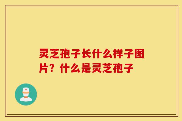 灵芝孢子长什么样子图片?什么是灵芝孢子-第1张图片-灵芝之家 灵芝孢子长什么样子图片?什么是灵芝孢子-第1张图片-灵芝之家