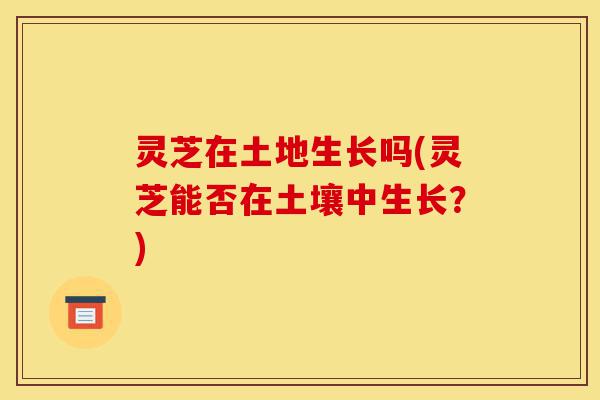 灵芝在土地生长吗(灵芝能否在土壤中生长?)-第1张图片-灵芝之家 灵芝在土地生长吗(灵芝能否在土壤中生长?)-第1张图片-灵芝之家
