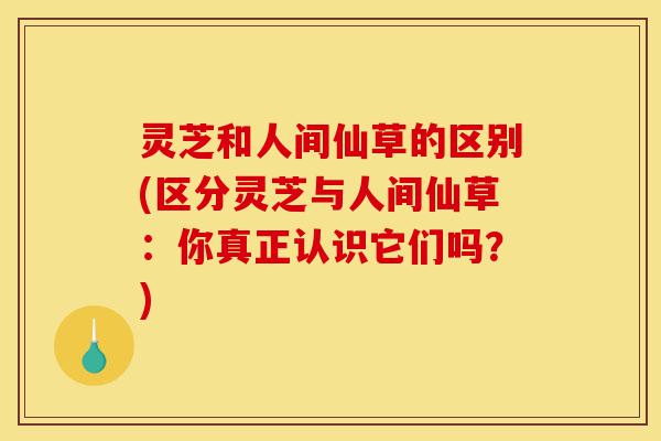 灵芝和人间仙草的区别(区分灵芝与人间仙草:你真正认识它们吗?)-第1张图片-灵芝之家 灵芝和人间仙草的区别(区分灵芝与人间仙草:你真正认识它们吗?)-第1张图片-灵芝之家