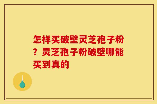 怎样买破壁灵芝孢子粉?灵芝孢子粉破壁哪能买到真的-第1张图片-灵芝之家 怎样买破壁灵芝孢子粉?灵芝孢子粉破壁哪能买到真的-第1张图片-灵芝之家