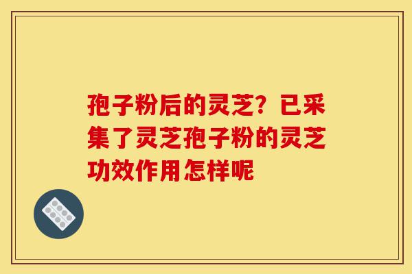 孢子粉后的灵芝?已采集了灵芝孢子粉的灵芝功效作用怎样呢-第1张图片-灵芝之家 孢子粉后的灵芝?已采集了灵芝孢子粉的灵芝功效作用怎样呢-第1张图片-灵芝之家