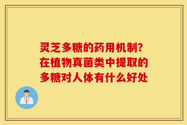 灵芝多糖的药用机制?在植物真菌类中提取的多糖对人体有什么好处-第1张图片-灵芝之家 灵芝多糖的药用机制?在植物真菌类中提取的多糖对人体有什么好处-第1张图片-灵芝之家