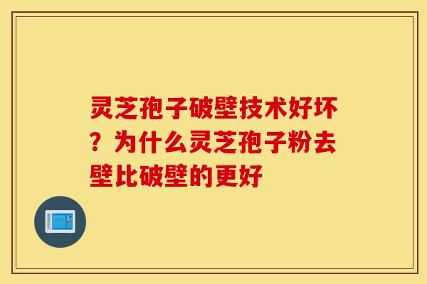 灵芝孢子破壁技术好坏?为什么灵芝孢子粉去壁比破壁的更好-第1张图片-灵芝之家 灵芝孢子破壁技术好坏?为什么灵芝孢子粉去壁比破壁的更好-第1张图片-灵芝之家